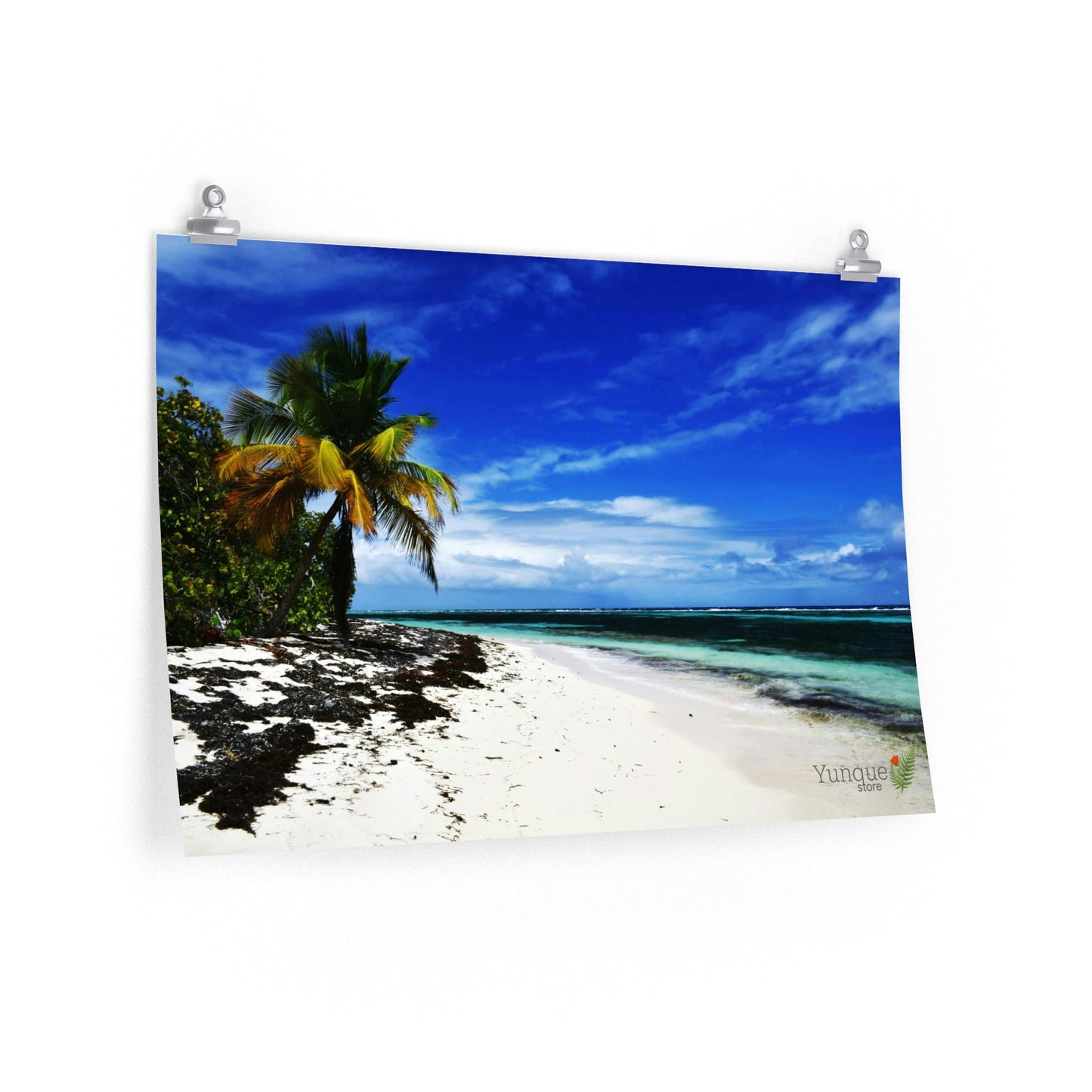 Fix that EMPTY WALL - Premium Matte horizontal posters - Unique Mona - Galapagos of the Caribbean - Puerto Rico: - Green Forest Home