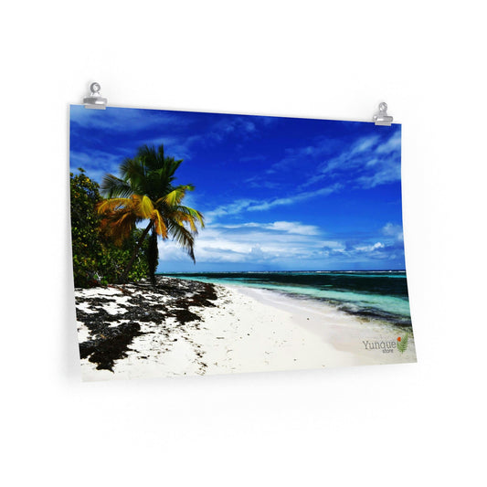 Fix that EMPTY WALL - Premium Matte horizontal posters - Unique Mona - Galapagos of the Caribbean - Puerto Rico: - Green Forest Home