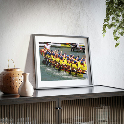 Framed Posters, Matte - Printed in Australia by Prima Printing - The Australia team paddling in Club Crew World Championships 2008 - Green Forest Home