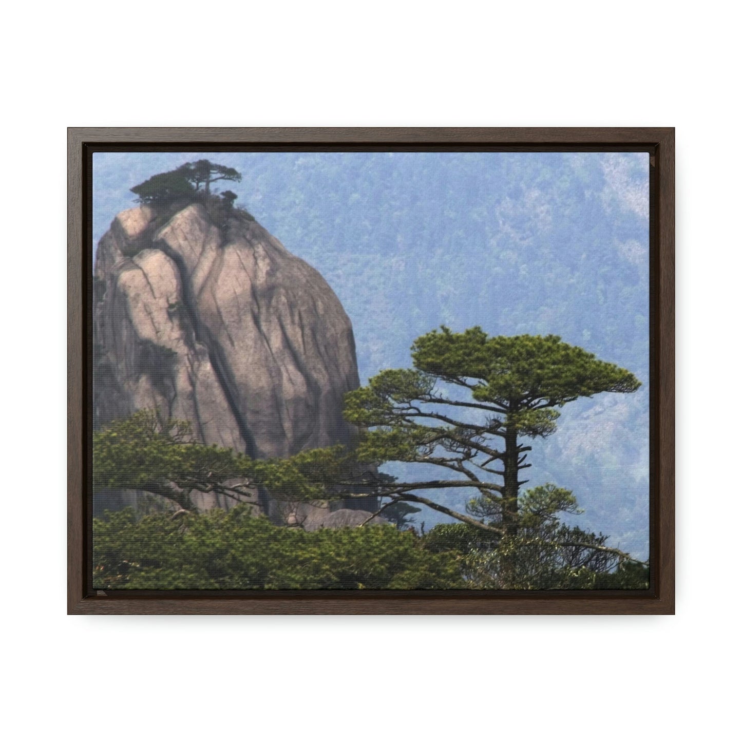 GREAT CHINA COLLECTION: Horizontal Framed Premium Gallery Wrap Canvas - A view of the world famous peaks of Huangshan (Yellow) mountain, Anhui province, South China - Green Forest Home