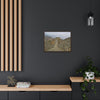 GREAT CHINA COLLECTION: Horizontal Framed Premium Gallery Wrap Canvas -The Great Wall of China - HDR photography to enhance details, China. - Green Forest Home
