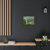 GREAT CHINA COLLECTION: Horizontal Framed Premium Gallery Wrap Canvas - The Great Wall of China - weathered section - Green Forest Home