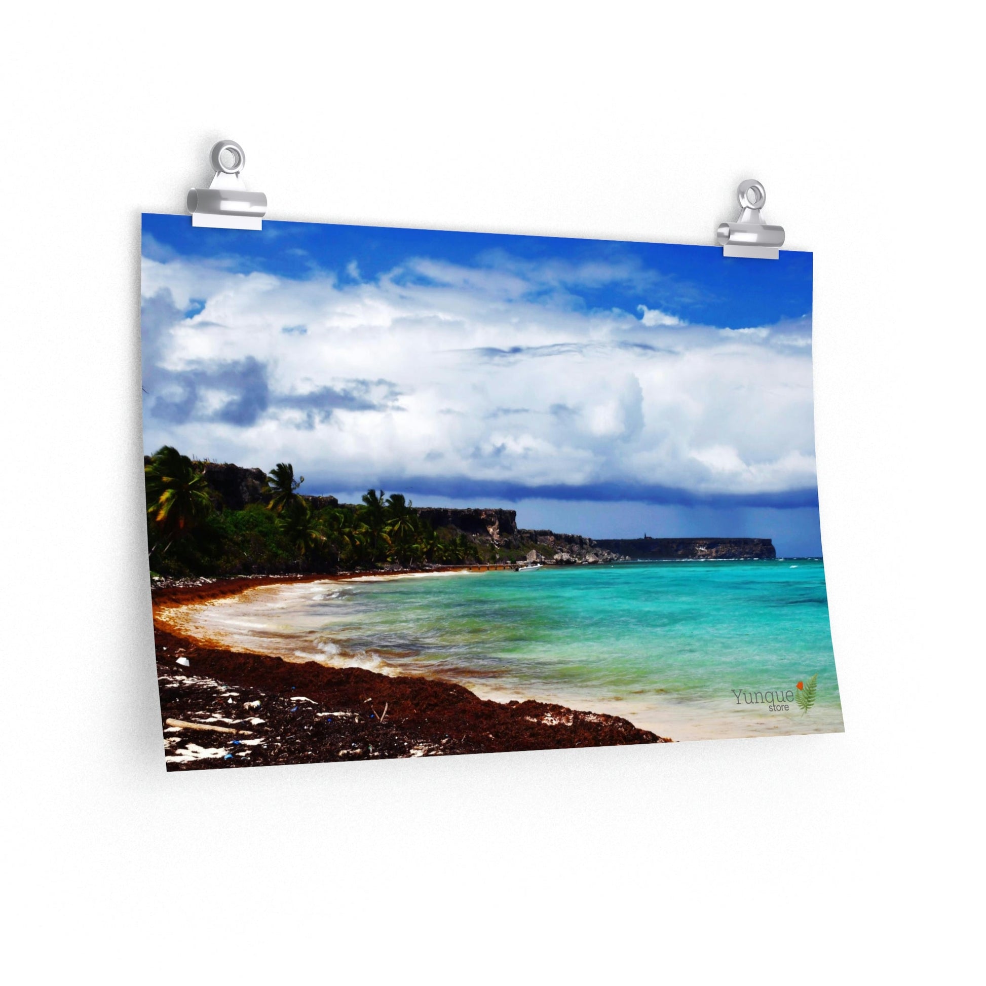 Great for Childrens rooms - Premium Matte horizontal posters - Unique Mona - Galapagos of the Caribbean - Puerto Rico: - Green Forest Home