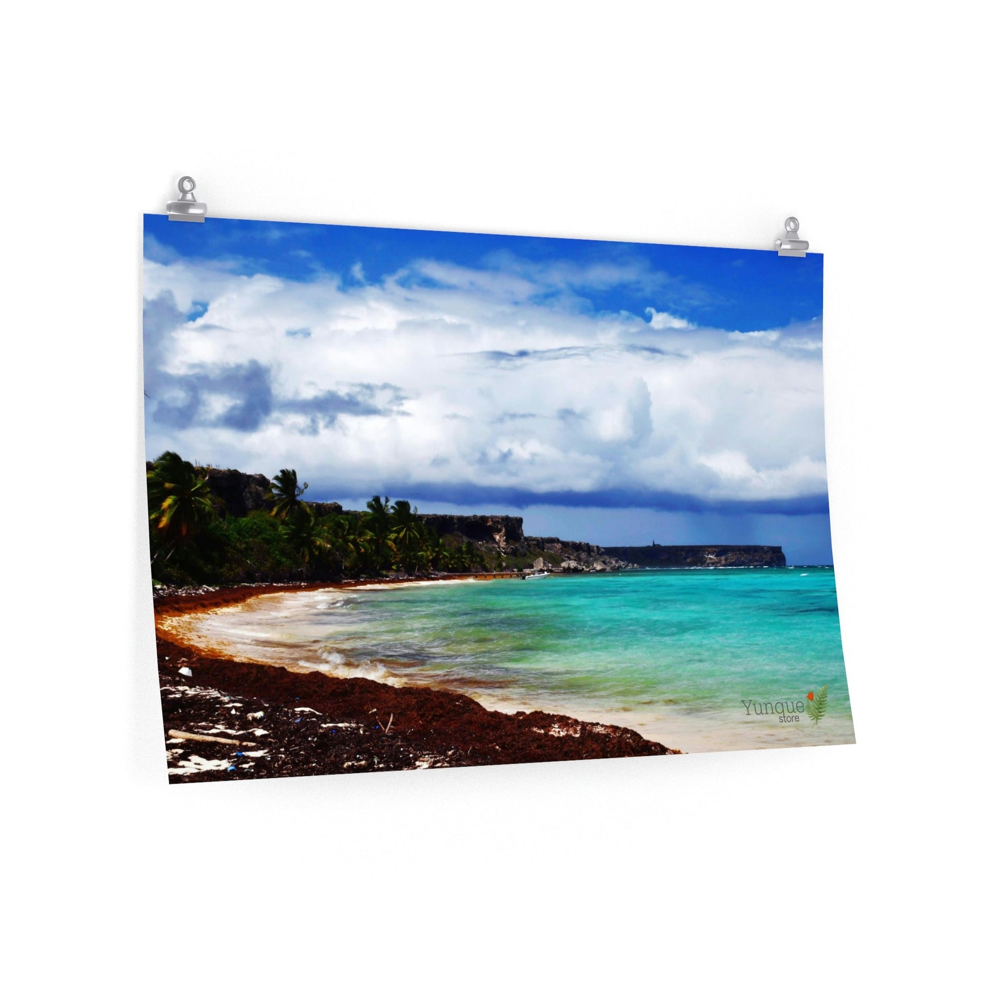 Great for Childrens rooms - Premium Matte horizontal posters - Unique Mona - Galapagos of the Caribbean - Puerto Rico: - Green Forest Home