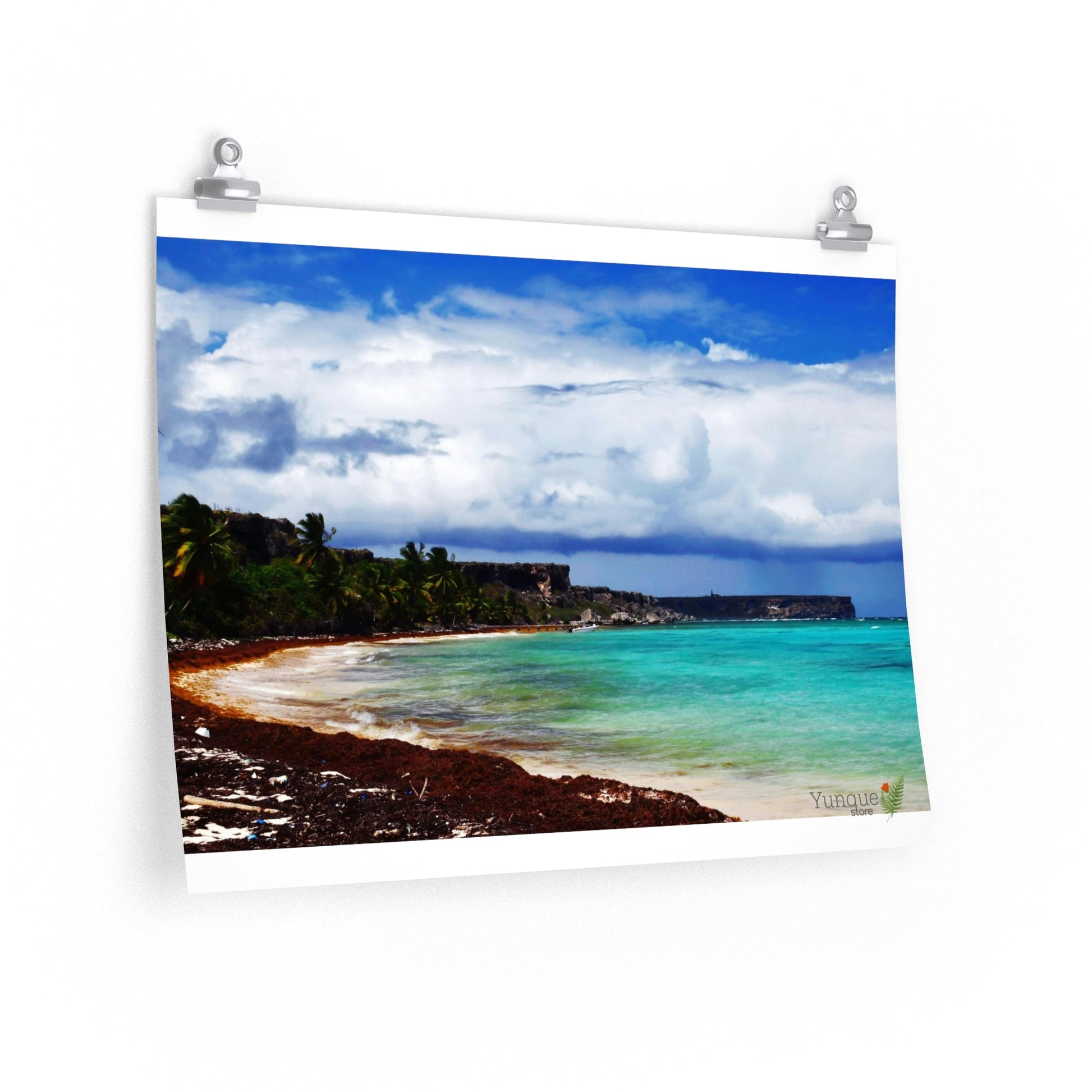 Great for Childrens rooms - Premium Matte horizontal posters - Unique Mona - Galapagos of the Caribbean - Puerto Rico: - Green Forest Home