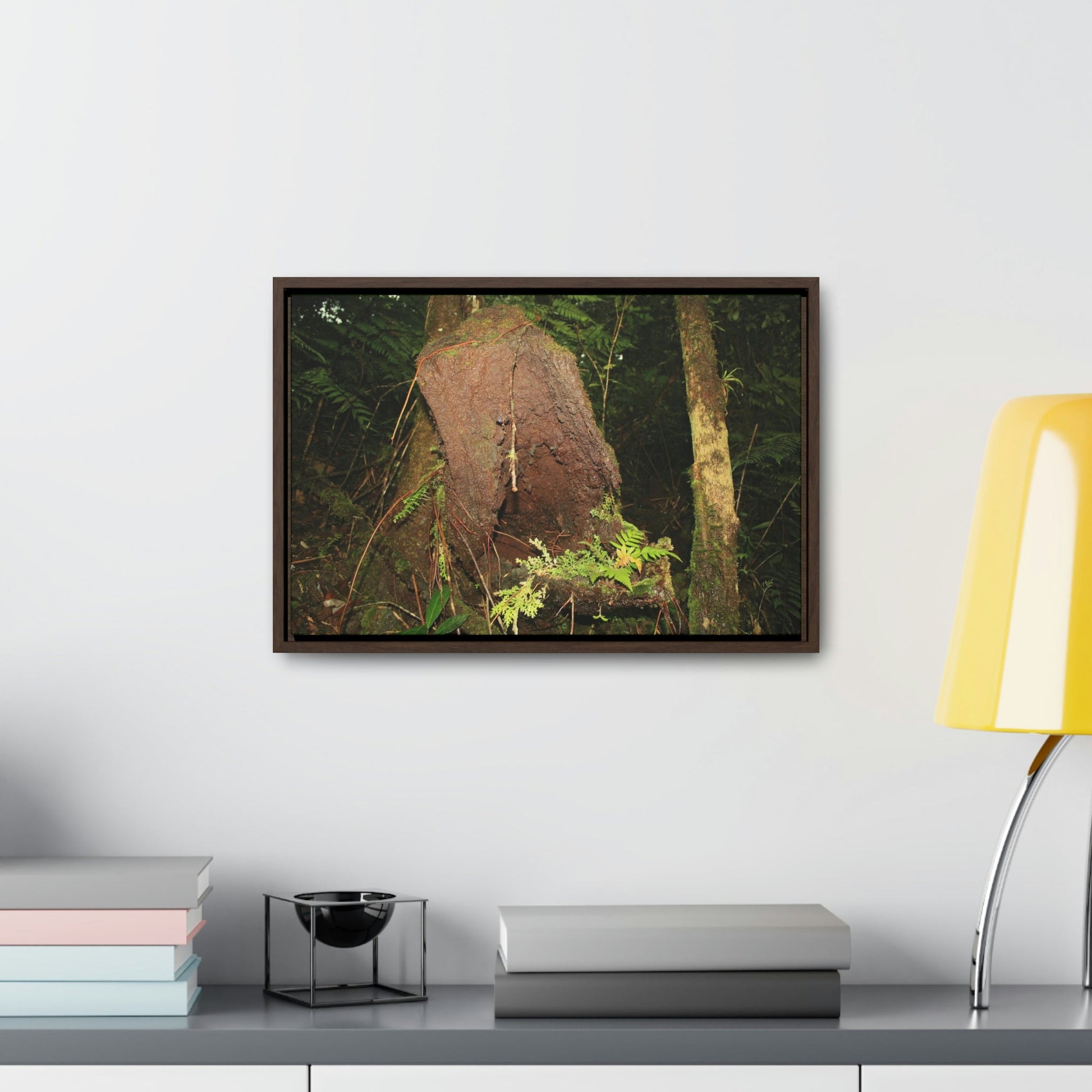 Horizontal Framed Premium Gallery Wrap Canvas - 14 KM TRADEWINDS TRAIL - EL YUNQUE RAINFOREST PR EXPLORATION ON 2013-02-01 - DECAYING TREE WITH PLANTS INSIDE ON TRAIL - BEFORE MARIA - Green Forest Home