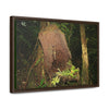 Horizontal Framed Premium Gallery Wrap Canvas - 14 KM TRADEWINDS TRAIL - EL YUNQUE RAINFOREST PR EXPLORATION ON 2013-02-01 - DECAYING TREE WITH PLANTS INSIDE ON TRAIL - BEFORE MARIA - Green Forest Home