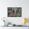 Horizontal Framed Premium Gallery Wrap Canvas - 14 KM TRADEWINDS TRAIL - EL YUNQUE RAINFOREST PR EXPLORATION ON 2013-02-01 - OLD PAL RESTS ON TREE WHILE IT HOLDS ON ANOTHER DECAYING TREE AS BASE - THE CLOUD FOREST - BEFORE MARIA - Green Forest Home