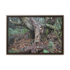 Horizontal Framed Premium Gallery Wrap Canvas - 14 KM TRADEWINDS TRAIL - EL YUNQUE RAINFOREST PR EXPLORATION ON 2013-02-01 - OLD PAL RESTS ON TREE WHILE IT HOLDS ON ANOTHER DECAYING TREE AS BASE - THE CLOUD FOREST - BEFORE MARIA - Green Forest Home