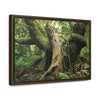Horizontal Framed Premium Gallery Wrap Canvas - 14 KM TRADEWINDS TRAIL - EL YUNQUE RAINFOREST PR EXPLORATION ON 2013-02-01 - OLD PAL RESTS ON TREE WHILE IT HOLDS ON ANOTHER DECAYING TREE AS BASE - THE CLOUD FOREST - BEFORE MARIA - Green Forest Home