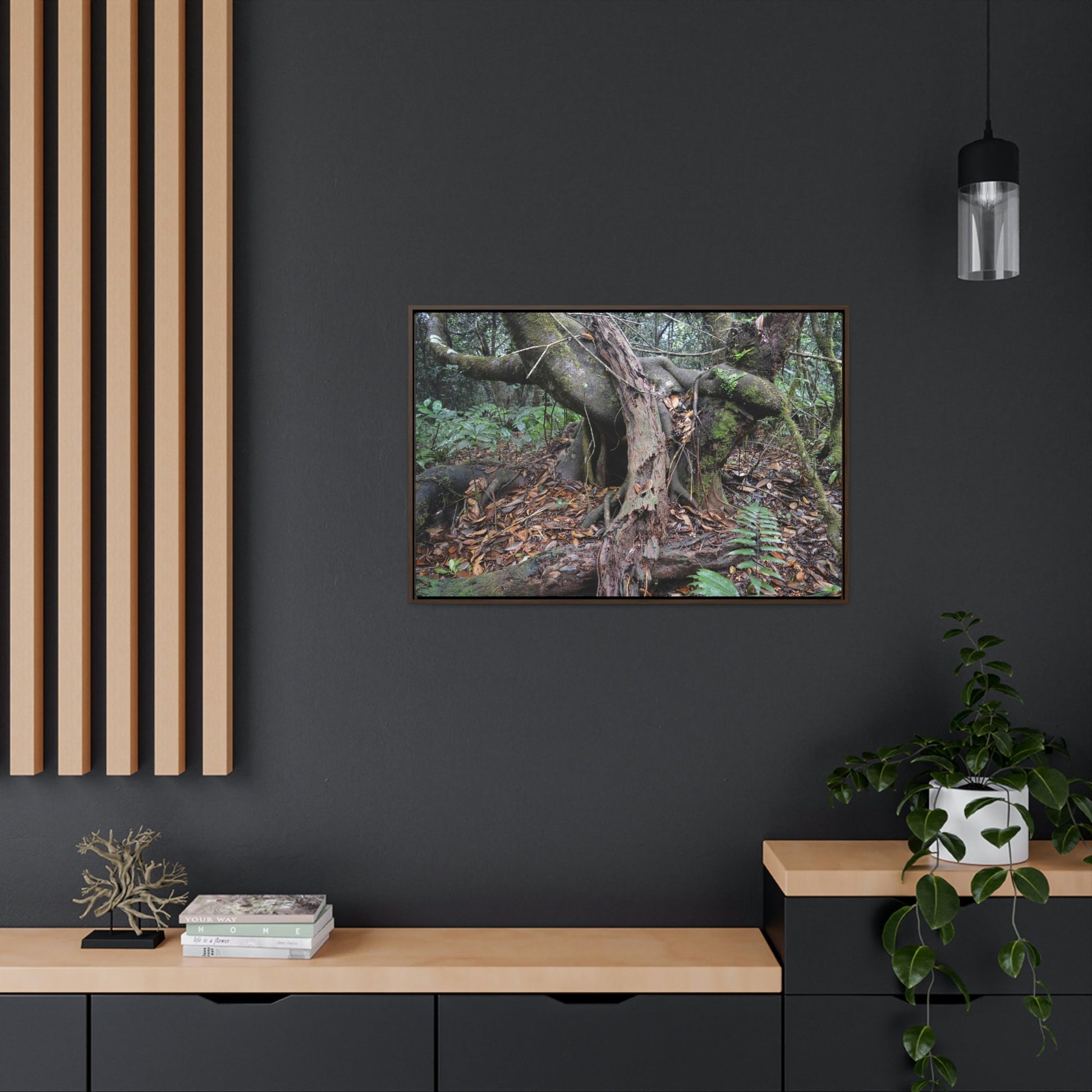 Horizontal Framed Premium Gallery Wrap Canvas - 14 KM TRADEWINDS TRAIL - EL YUNQUE RAINFOREST PR EXPLORATION ON 2013-02-01 - OLD PAL RESTS ON TREE WHILE IT HOLDS ON ANOTHER DECAYING TREE AS BASE - THE CLOUD FOREST - BEFORE MARIA - Green Forest Home