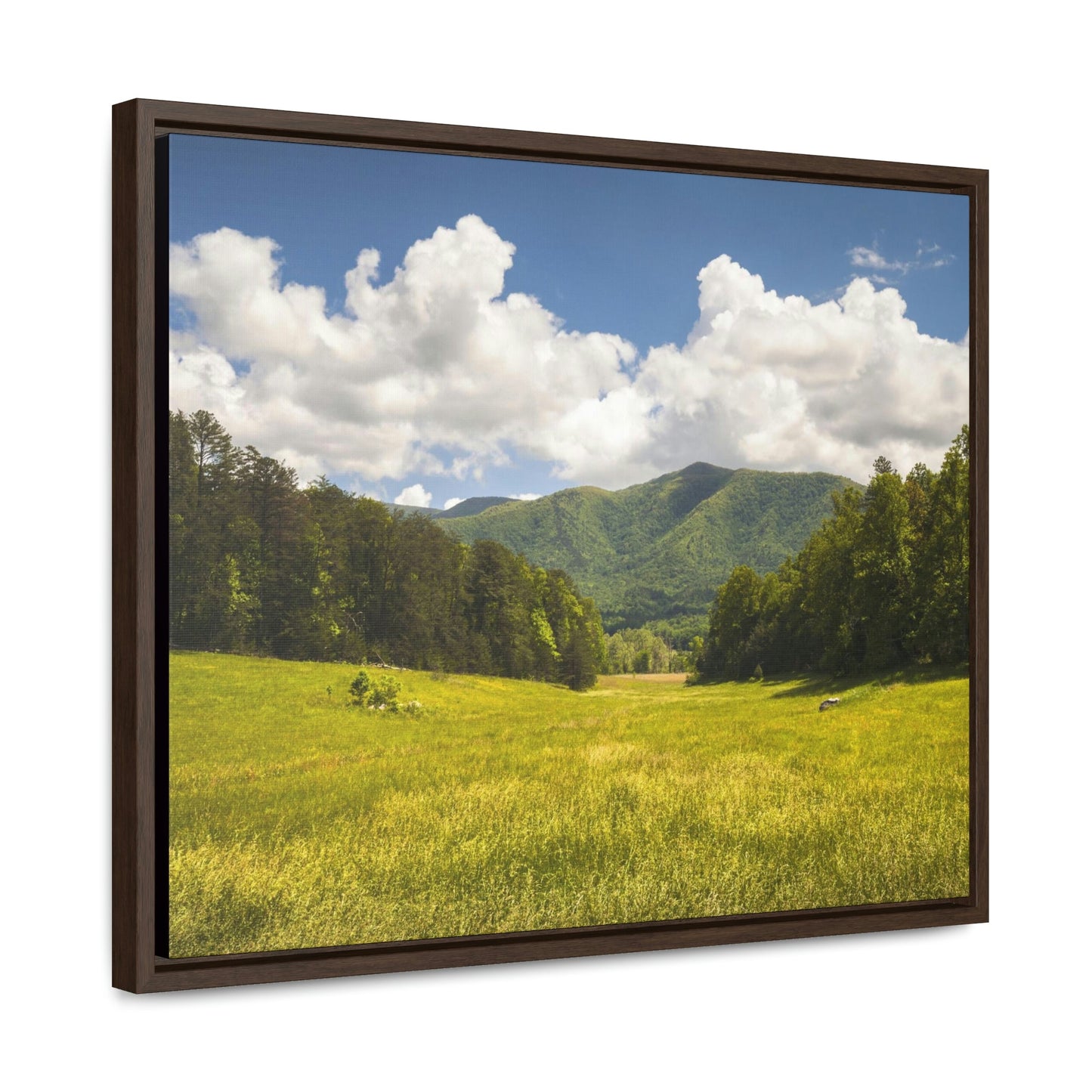 Horizontal Framed Premium Gallery Wrap Canvas - Cades Cove - Celebrating the Great Smoky Mountain National Park - Green Forest Home