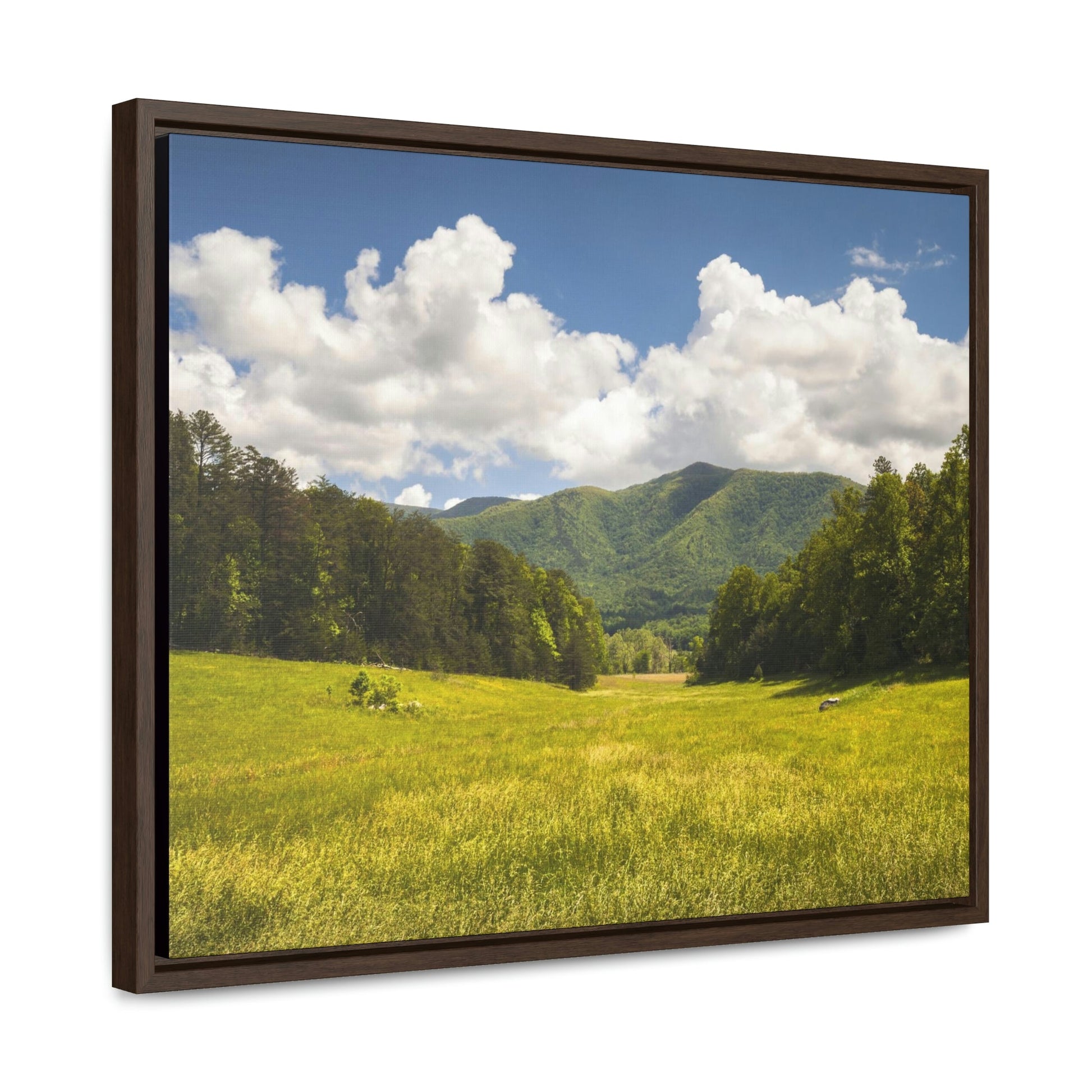 Horizontal Framed Premium Gallery Wrap Canvas - Cades Cove - Celebrating the Great Smoky Mountain National Park - Green Forest Home