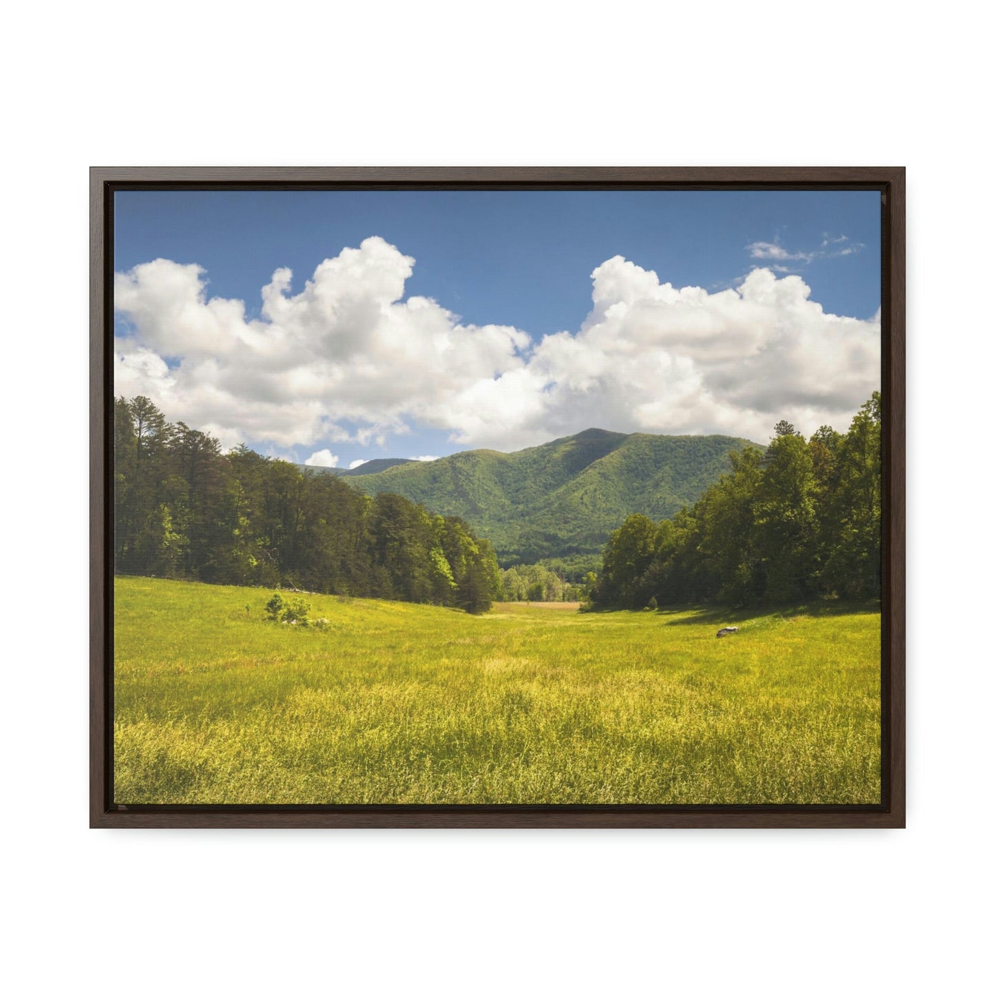 Horizontal Framed Premium Gallery Wrap Canvas - Cades Cove - Celebrating the Great Smoky Mountain National Park - Green Forest Home