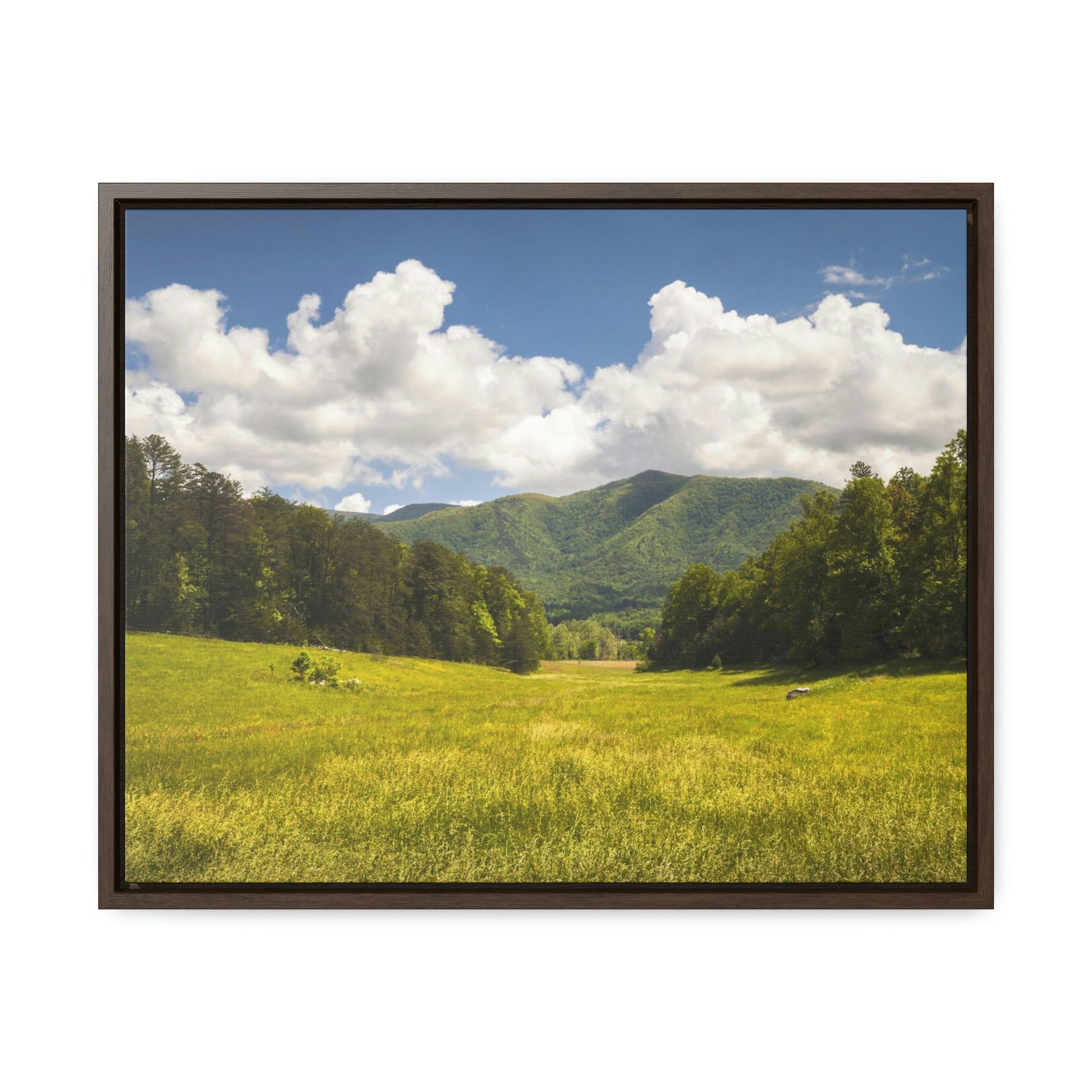 Horizontal Framed Premium Gallery Wrap Canvas - Cades Cove - Celebrating the Great Smoky Mountain National Park - Green Forest Home