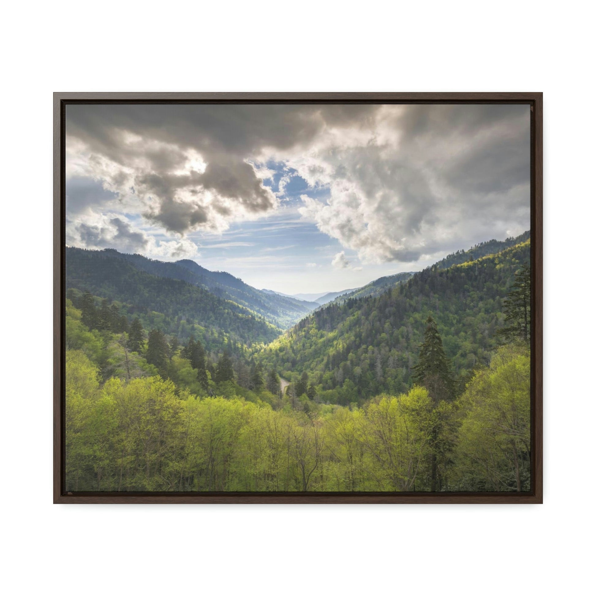 Horizontal Framed Premium Gallery Wrap Canvas - Celebrating the breathtaking Smoky Mountains National Park - Green Forest Home