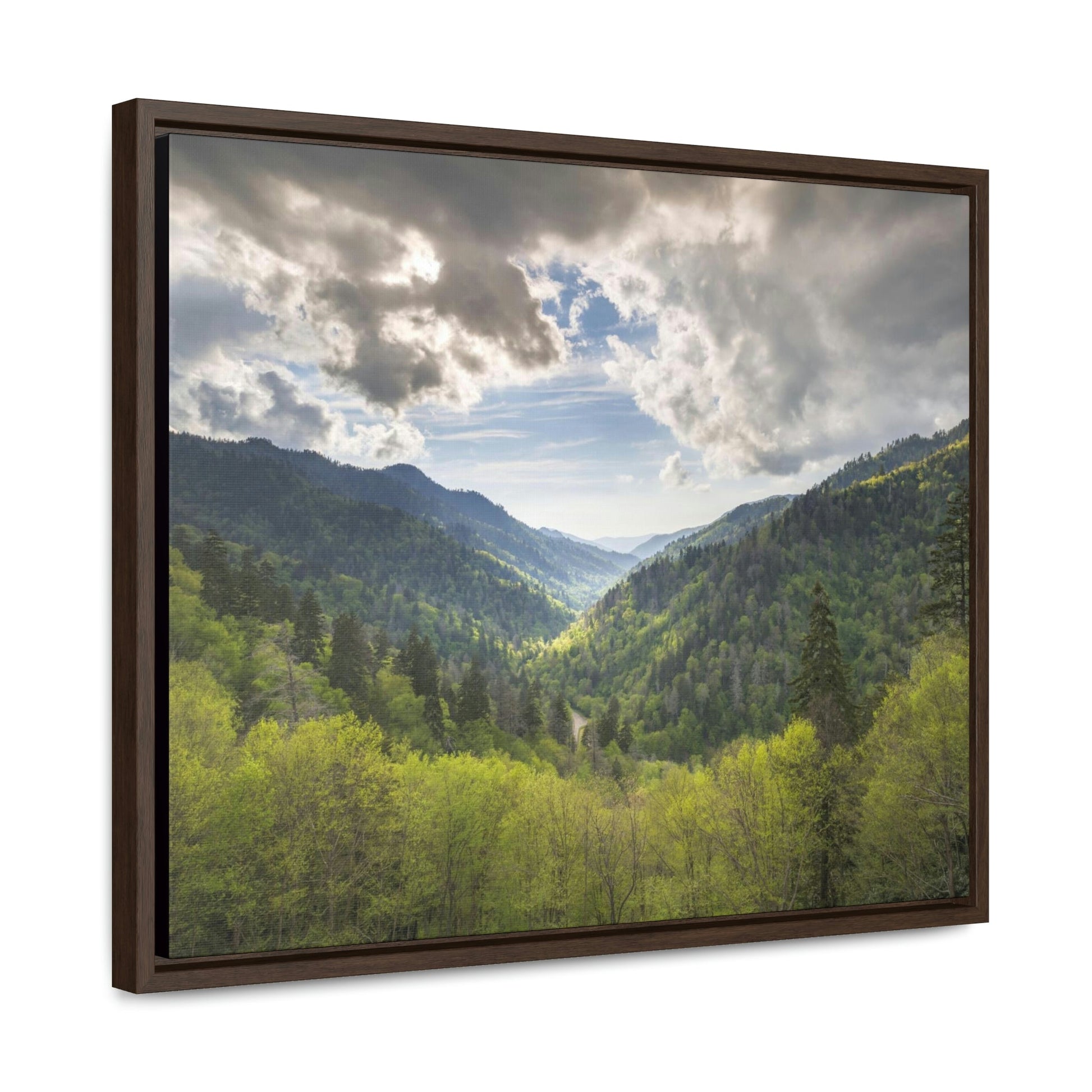 Horizontal Framed Premium Gallery Wrap Canvas - Celebrating the breathtaking Smoky Mountains National Park - Green Forest Home