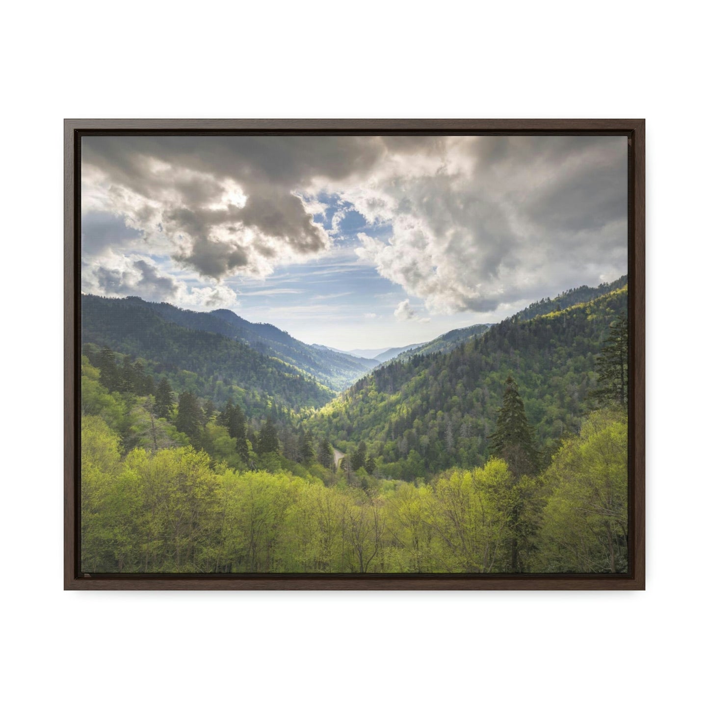 Horizontal Framed Premium Gallery Wrap Canvas - Celebrating the breathtaking Smoky Mountains National Park - Green Forest Home