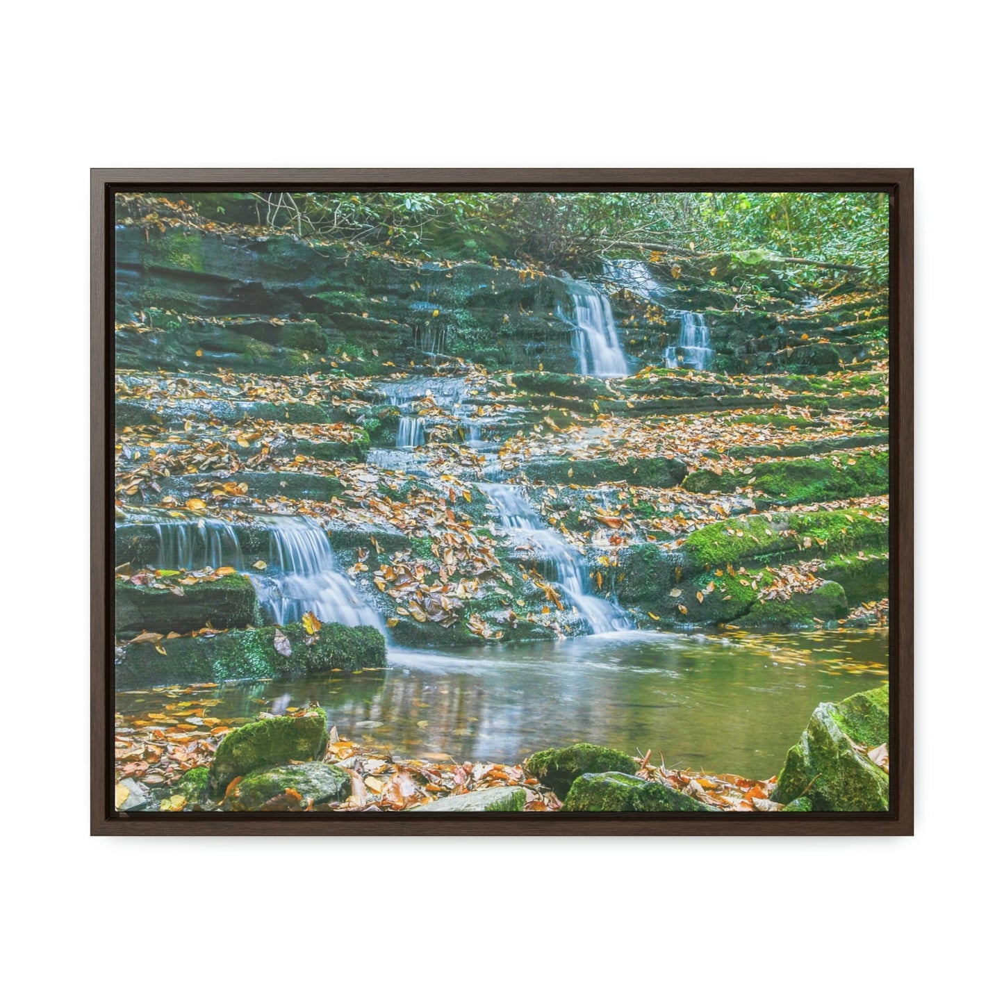 Horizontal Framed Premium Gallery Wrap Canvas - Celebrating the Great Smoky Mountain National Park - Green Forest Home