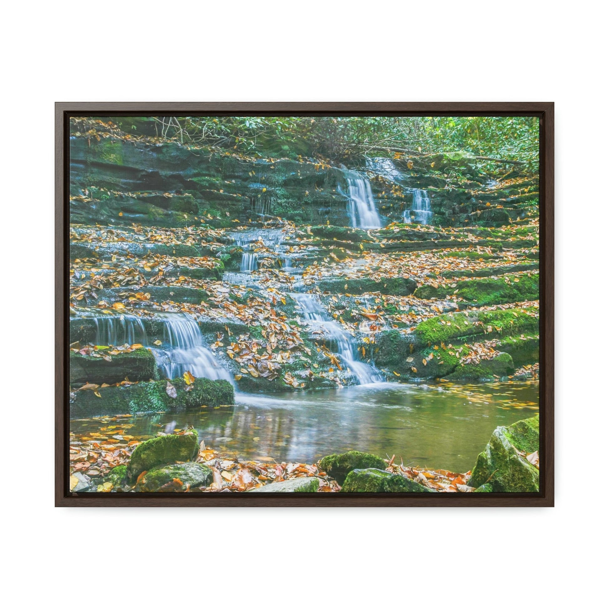 Horizontal Framed Premium Gallery Wrap Canvas - Celebrating the Great Smoky Mountain National Park - Green Forest Home