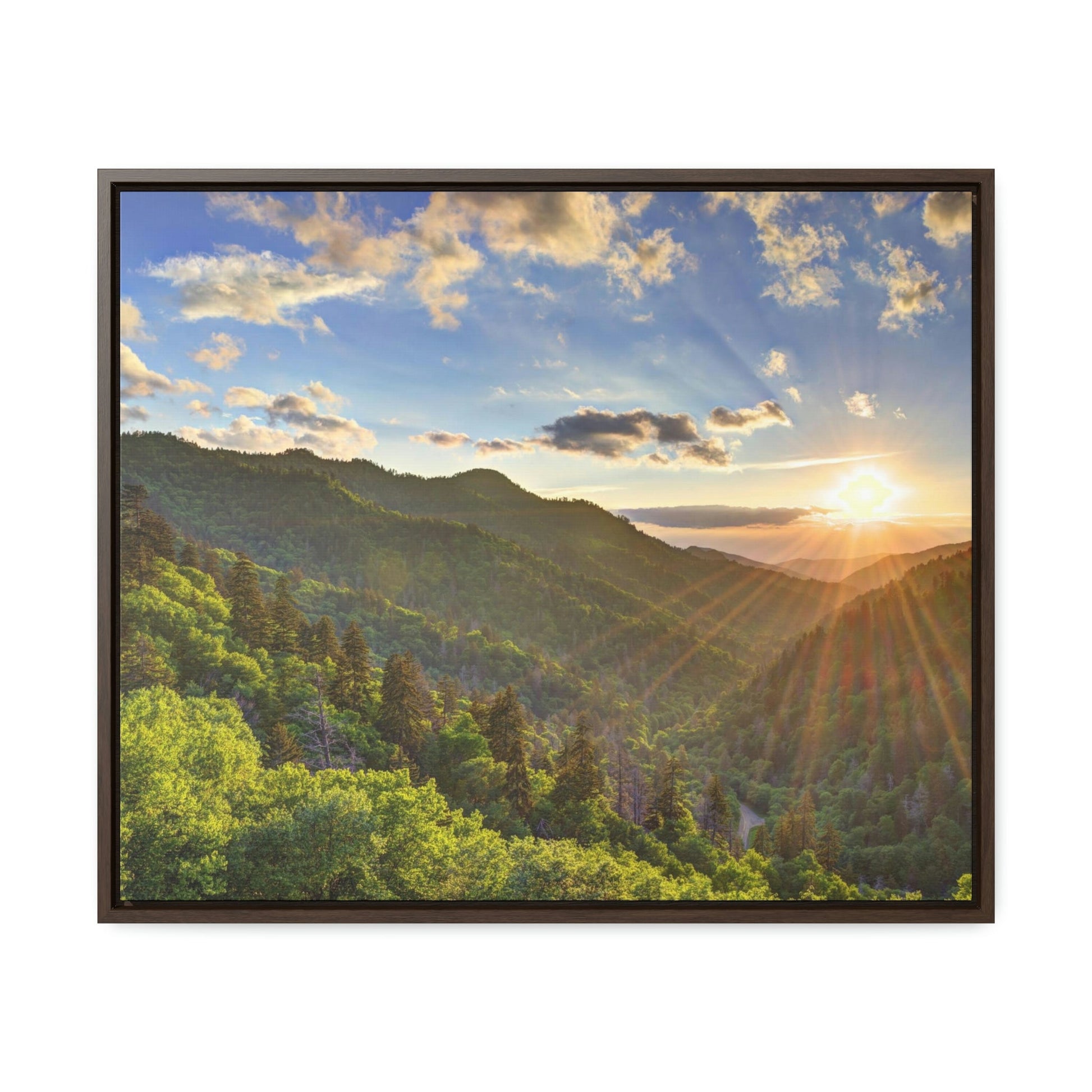 Horizontal Framed Premium Gallery Wrap Canvas - Celebrating the Great Smoky Mountain National Park - Green Forest Home