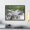Horizontal Framed Premium Gallery Wrap Canvas - Celebrating the Great Smoky Mountain National Park - Green Forest Home