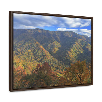 Horizontal Framed Premium Gallery Wrap Canvas - Celebrating the Great Smoky Mountain National Park - Green Forest Home