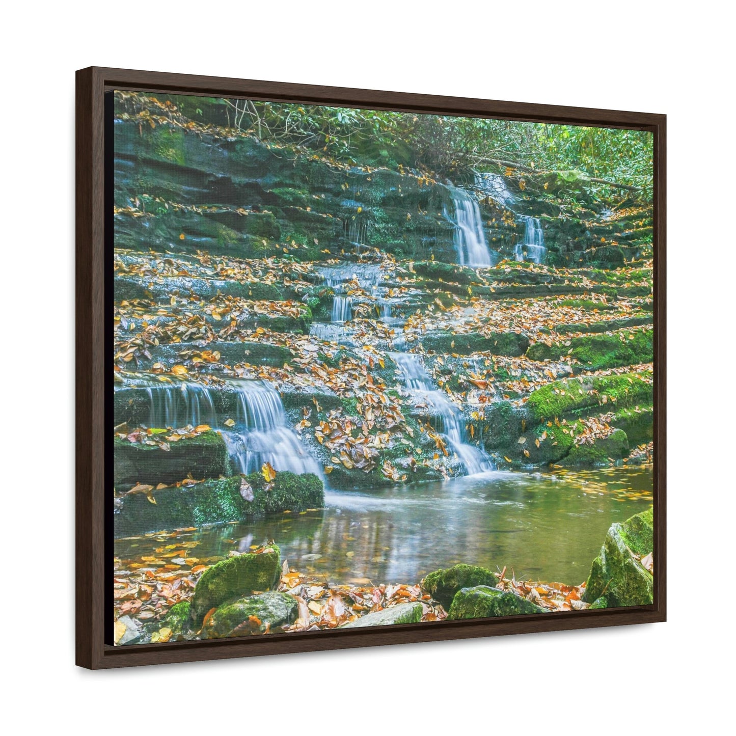 Horizontal Framed Premium Gallery Wrap Canvas - Celebrating the Great Smoky Mountain National Park - Green Forest Home