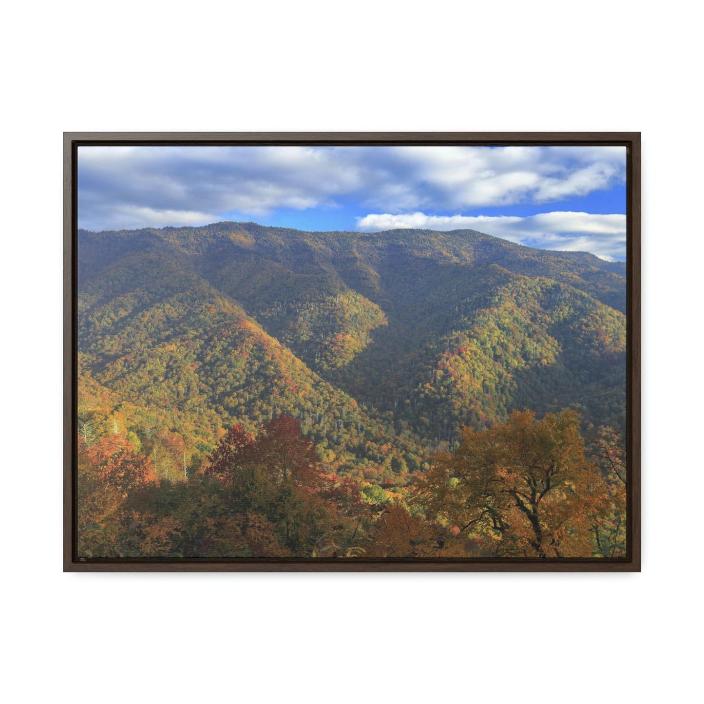 Horizontal Framed Premium Gallery Wrap Canvas - Celebrating the Great Smoky Mountain National Park - Green Forest Home