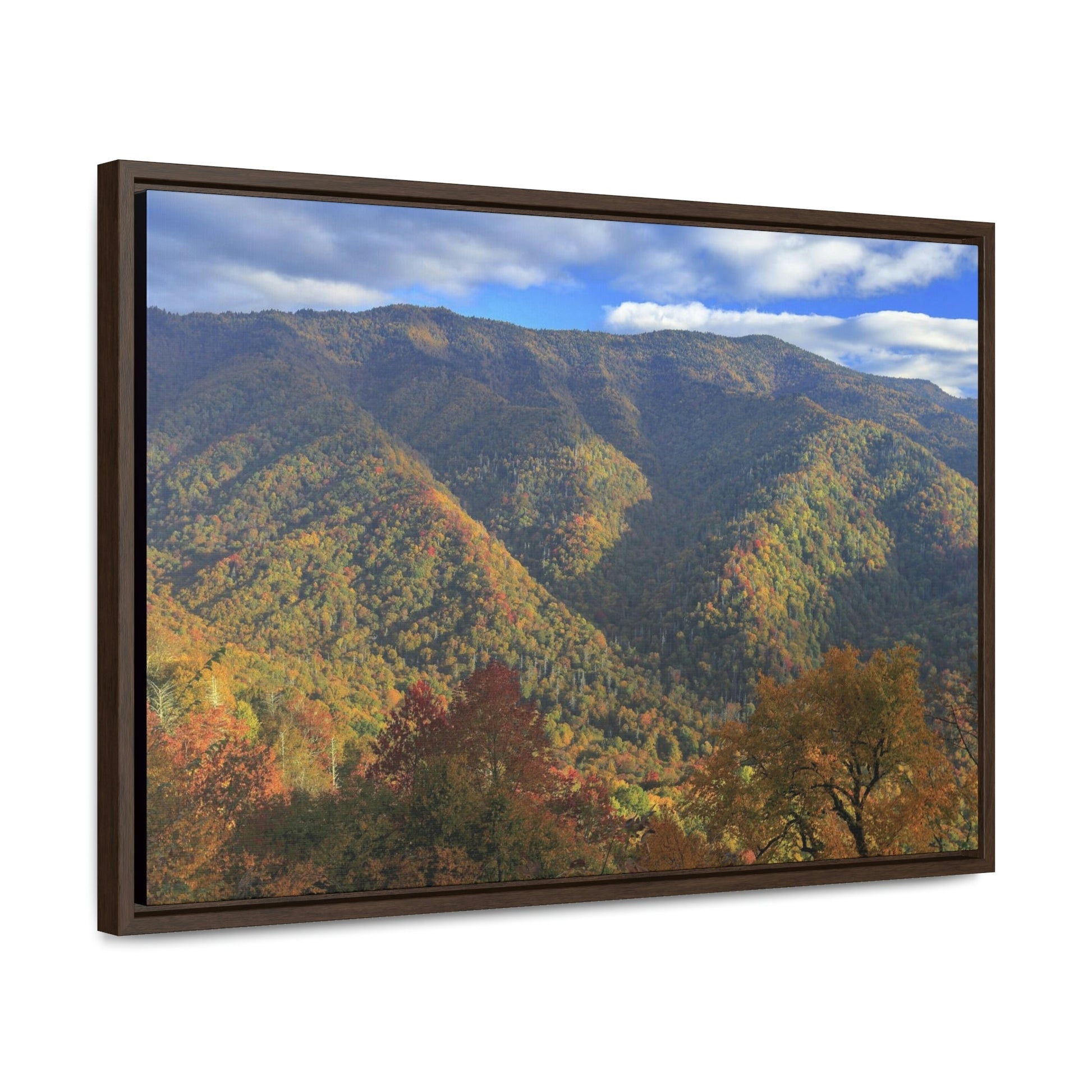 Horizontal Framed Premium Gallery Wrap Canvas - Celebrating the Great Smoky Mountain National Park - Green Forest Home