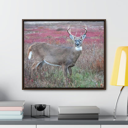 Horizontal Framed Premium Gallery Wrap Canvas - Celebrating the Great Smoky Mountain National Park - Green Forest Home