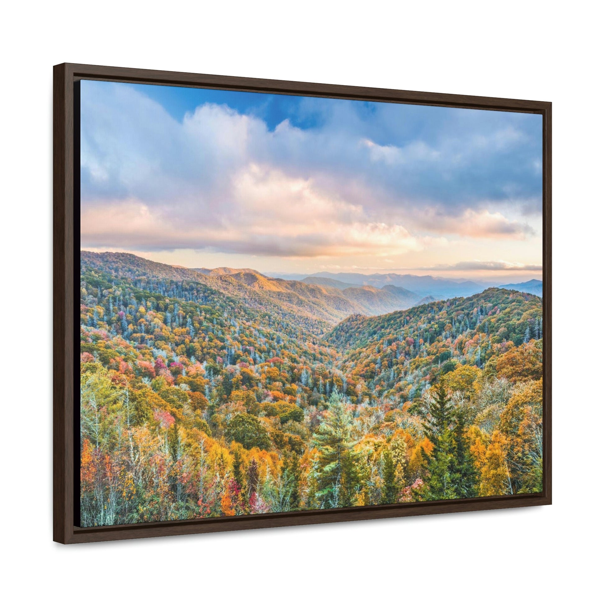 Horizontal Framed Premium Gallery Wrap Canvas - Celebrating the Great Smoky Mountain National Park - Green Forest Home