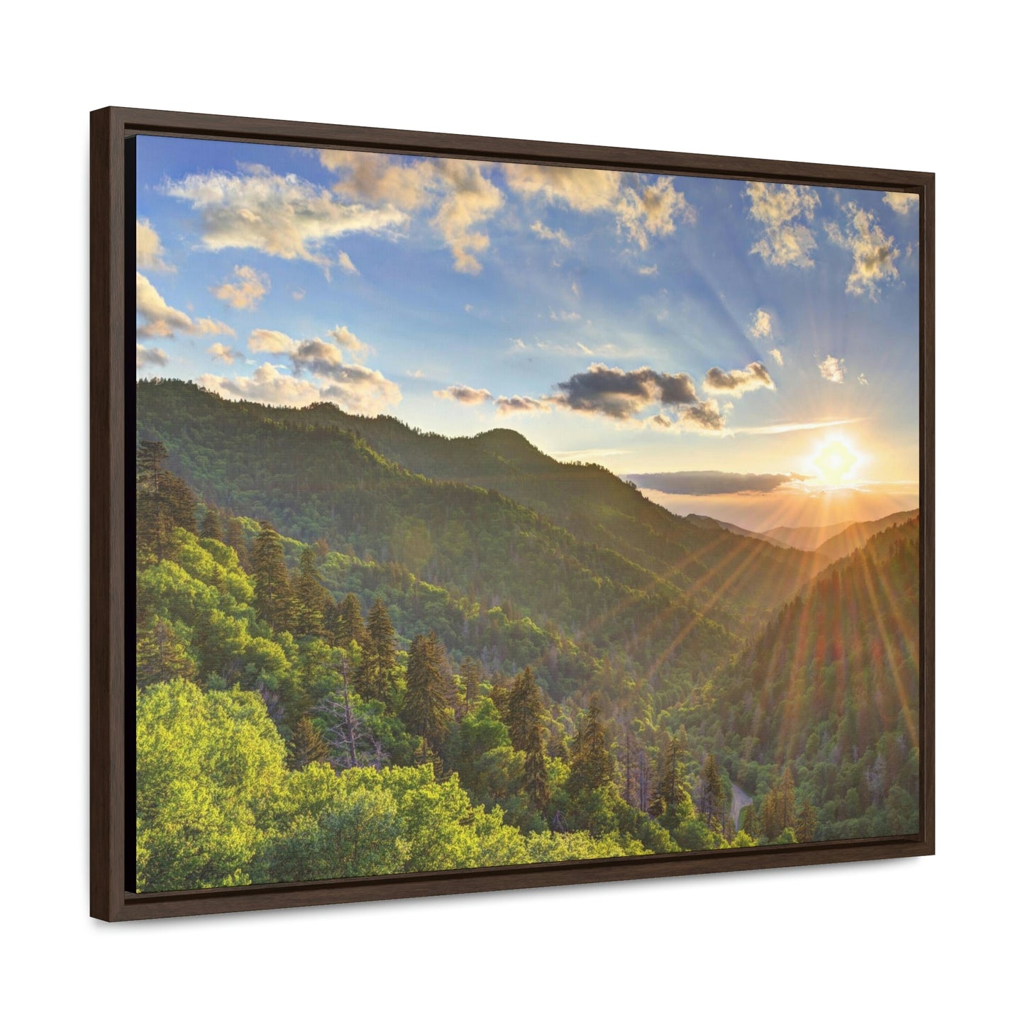Horizontal Framed Premium Gallery Wrap Canvas - Celebrating the Great Smoky Mountain National Park - Green Forest Home