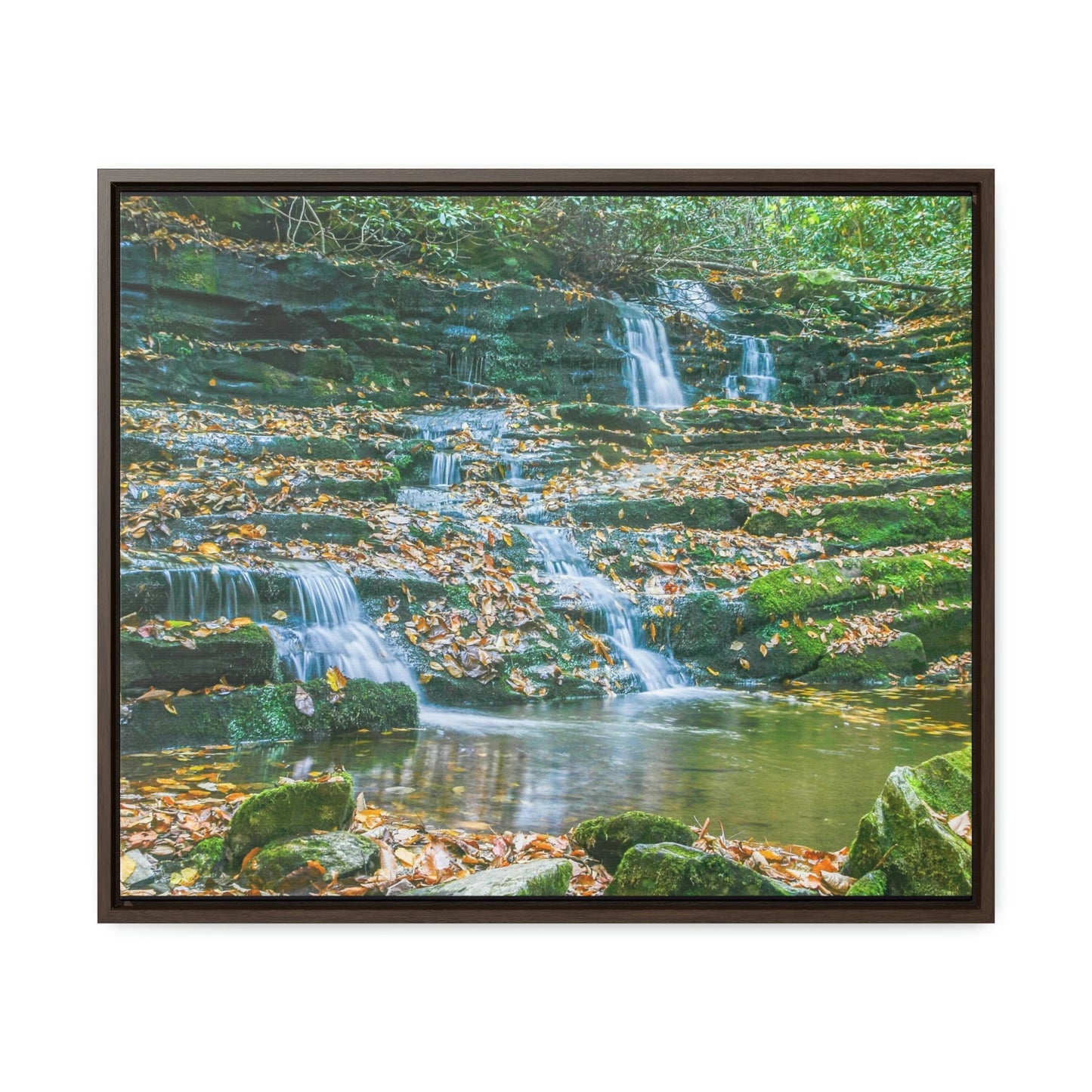 Horizontal Framed Premium Gallery Wrap Canvas - Celebrating the Great Smoky Mountain National Park - Green Forest Home