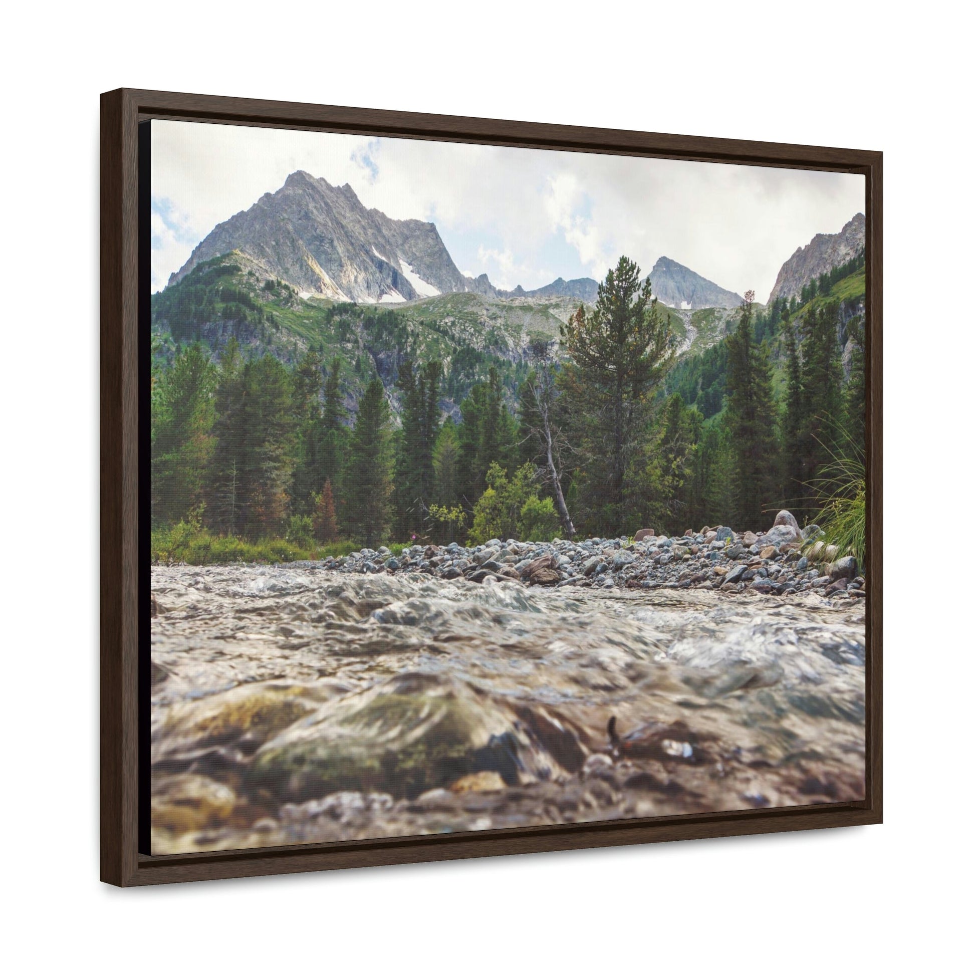 Horizontal Framed Premium Gallery Wrap Canvas - Celebrating the Great Smoky Mountain National Park - Green Forest Home