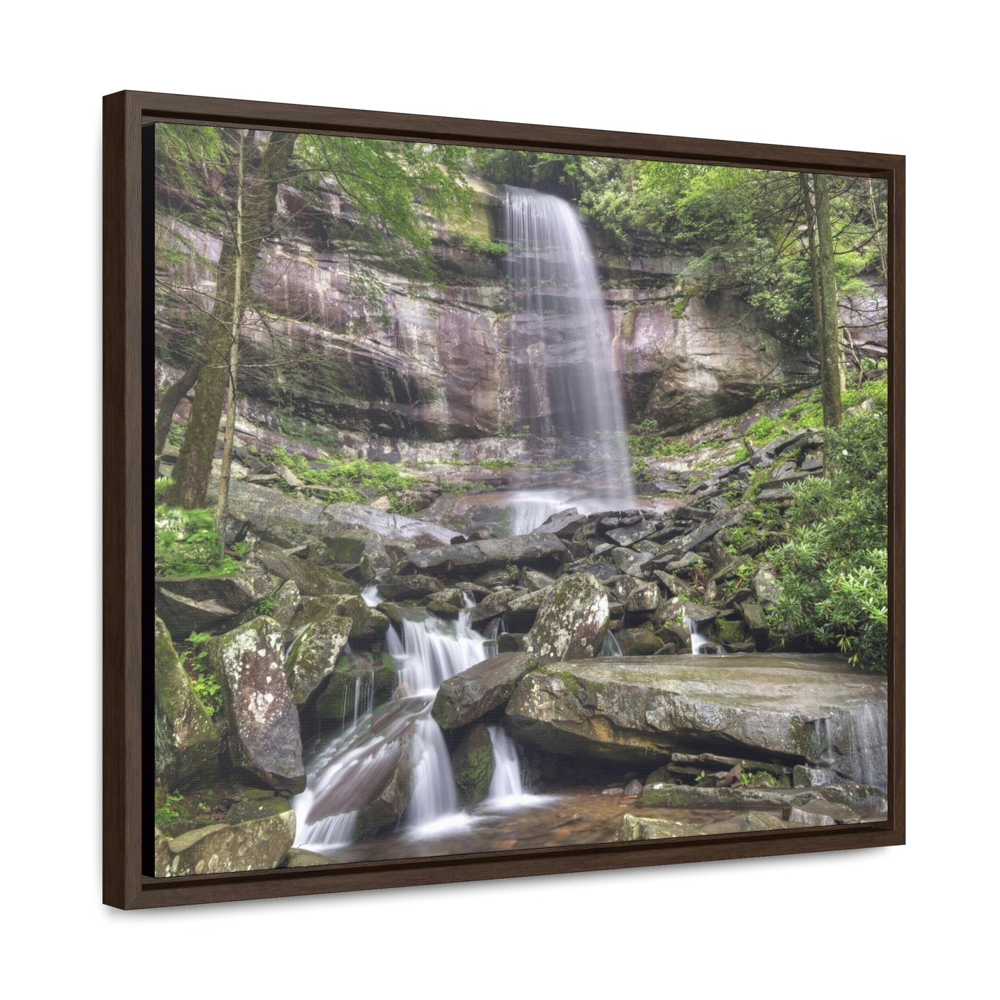 Horizontal Framed Premium Gallery Wrap Canvas - Celebrating the Great Smoky Mountain National Park - Green Forest Home