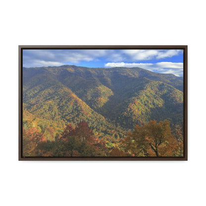 Horizontal Framed Premium Gallery Wrap Canvas - Celebrating the Great Smoky Mountain National Park - Green Forest Home