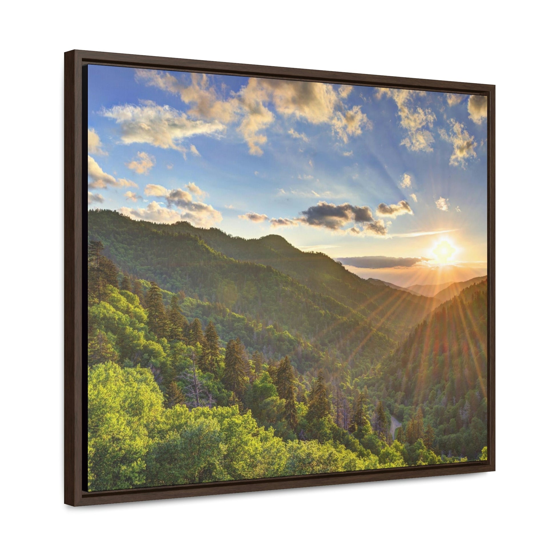 Horizontal Framed Premium Gallery Wrap Canvas - Celebrating the Great Smoky Mountain National Park - Green Forest Home