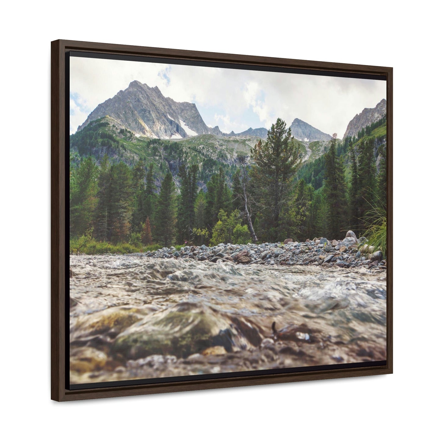 Horizontal Framed Premium Gallery Wrap Canvas - Celebrating the Great Smoky Mountain National Park - Green Forest Home
