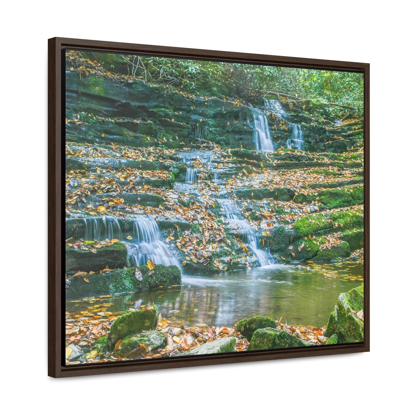 Horizontal Framed Premium Gallery Wrap Canvas - Celebrating the Great Smoky Mountain National Park - Green Forest Home