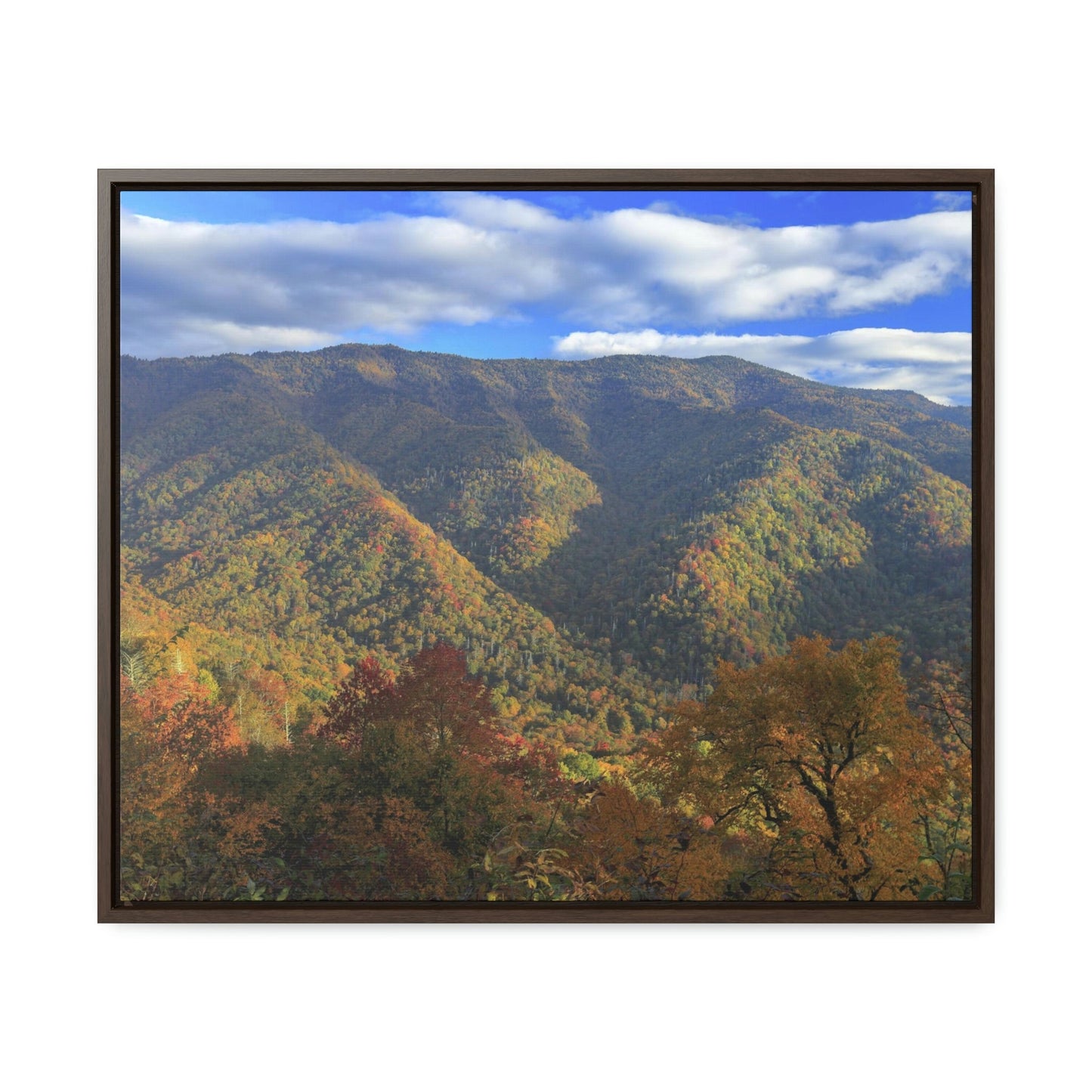 Horizontal Framed Premium Gallery Wrap Canvas - Celebrating the Great Smoky Mountain National Park - Green Forest Home