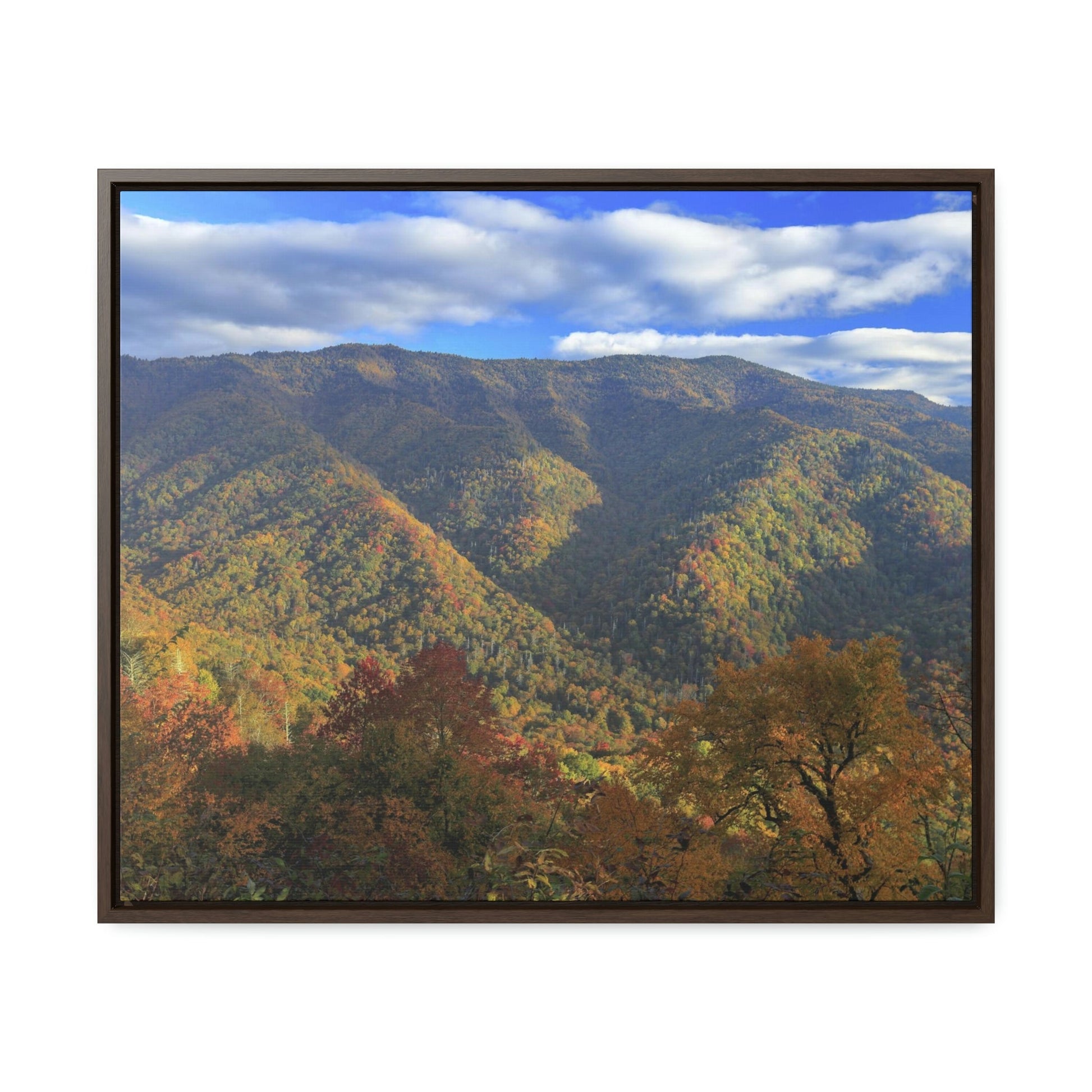Horizontal Framed Premium Gallery Wrap Canvas - Celebrating the Great Smoky Mountain National Park - Green Forest Home