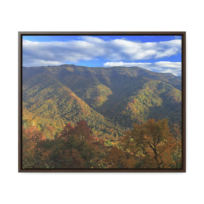 Horizontal Framed Premium Gallery Wrap Canvas - Celebrating the Great Smoky Mountain National Park - Green Forest Home