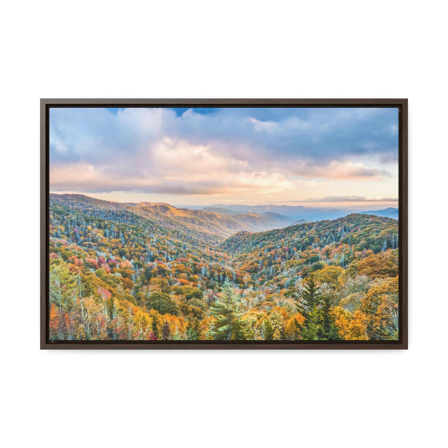 Horizontal Framed Premium Gallery Wrap Canvas - Celebrating the Great Smoky Mountain National Park - Green Forest Home