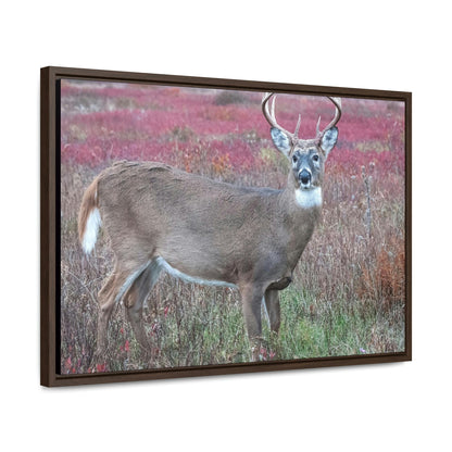 Horizontal Framed Premium Gallery Wrap Canvas - Celebrating the Great Smoky Mountain National Park - Green Forest Home