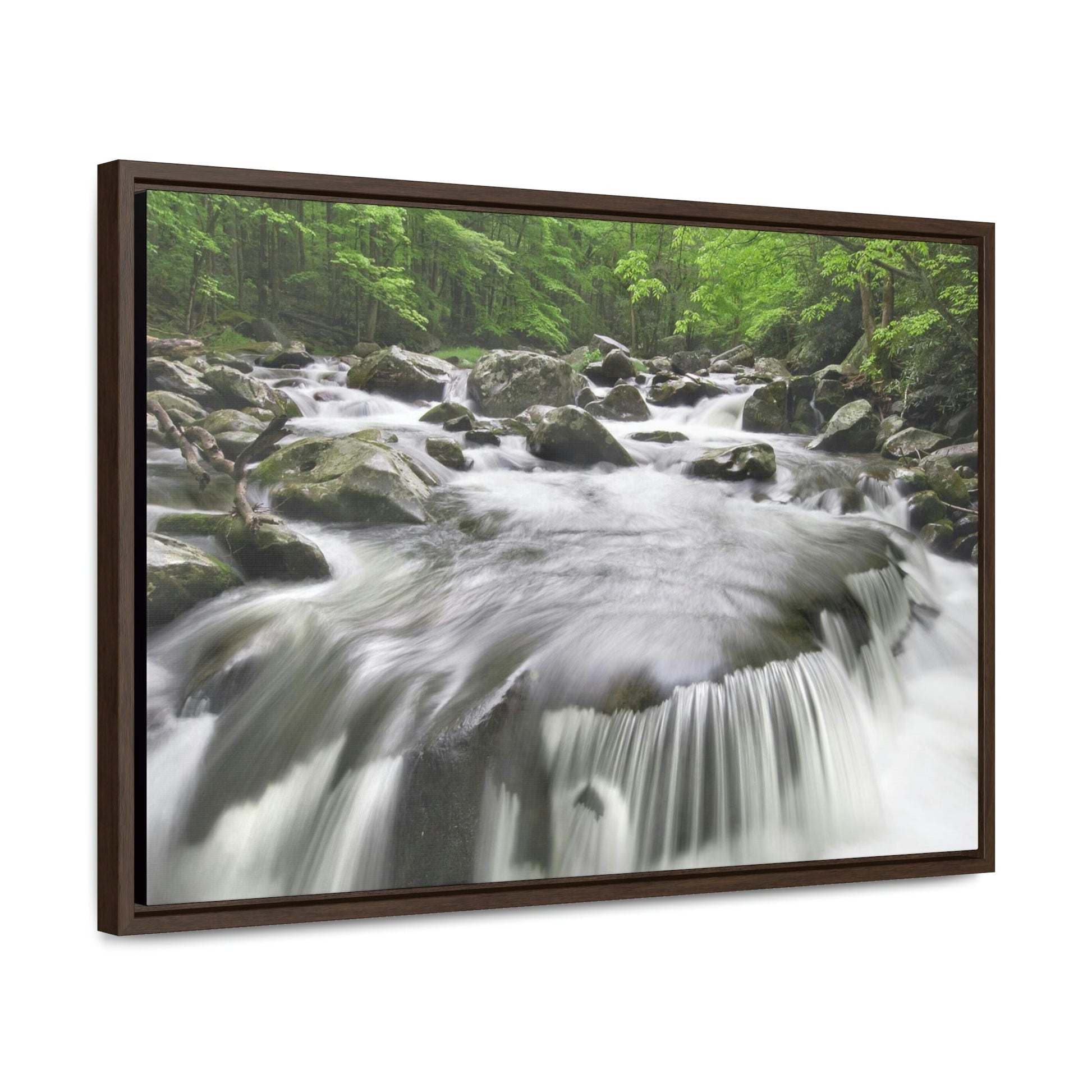 Horizontal Framed Premium Gallery Wrap Canvas - Celebrating the Great Smoky Mountain National Park - Green Forest Home
