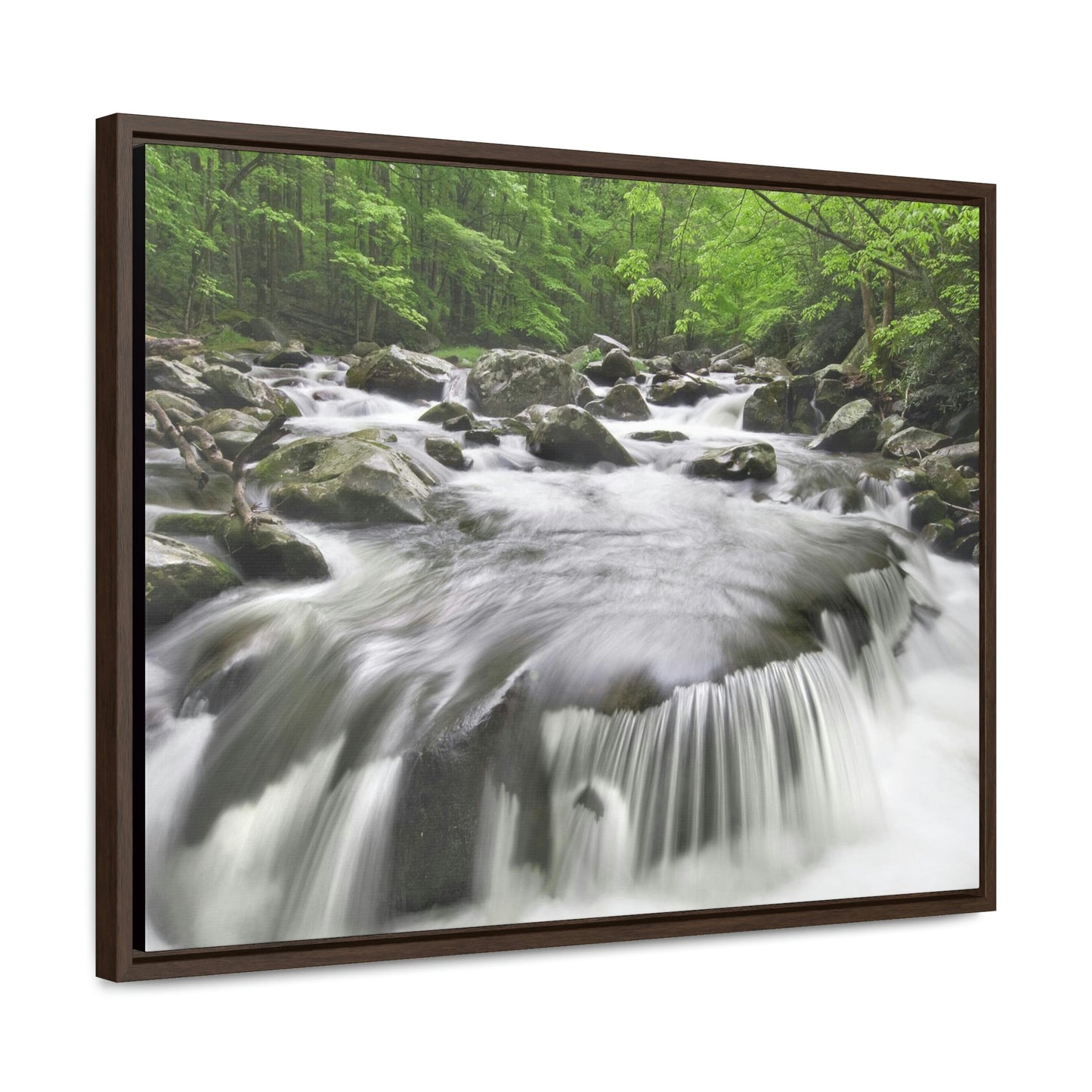 Horizontal Framed Premium Gallery Wrap Canvas - Celebrating the Great Smoky Mountain National Park - Green Forest Home