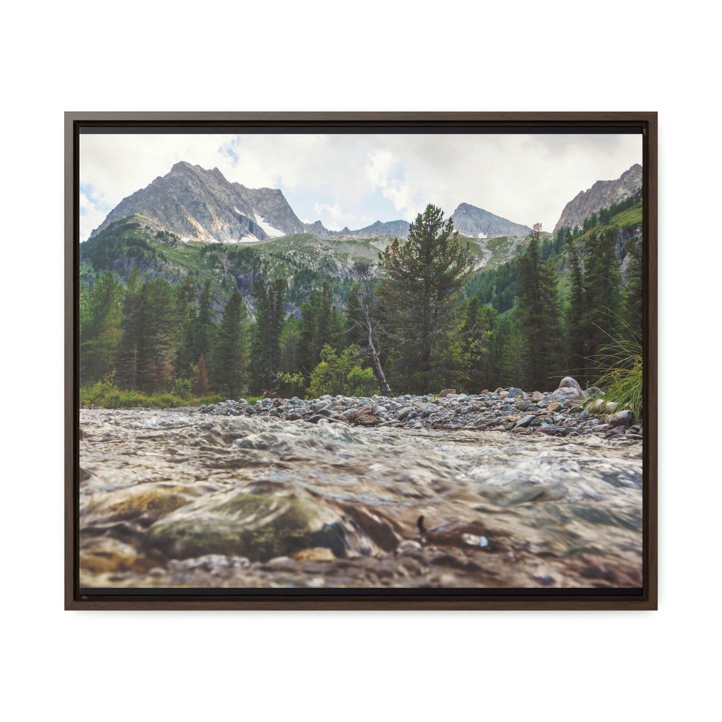 Horizontal Framed Premium Gallery Wrap Canvas - Celebrating the Great Smoky Mountain National Park - Green Forest Home