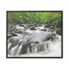 Horizontal Framed Premium Gallery Wrap Canvas - Celebrating the Great Smoky Mountain National Park - Green Forest Home