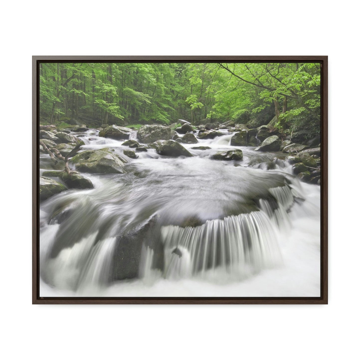 Horizontal Framed Premium Gallery Wrap Canvas - Celebrating the Great Smoky Mountain National Park - Green Forest Home